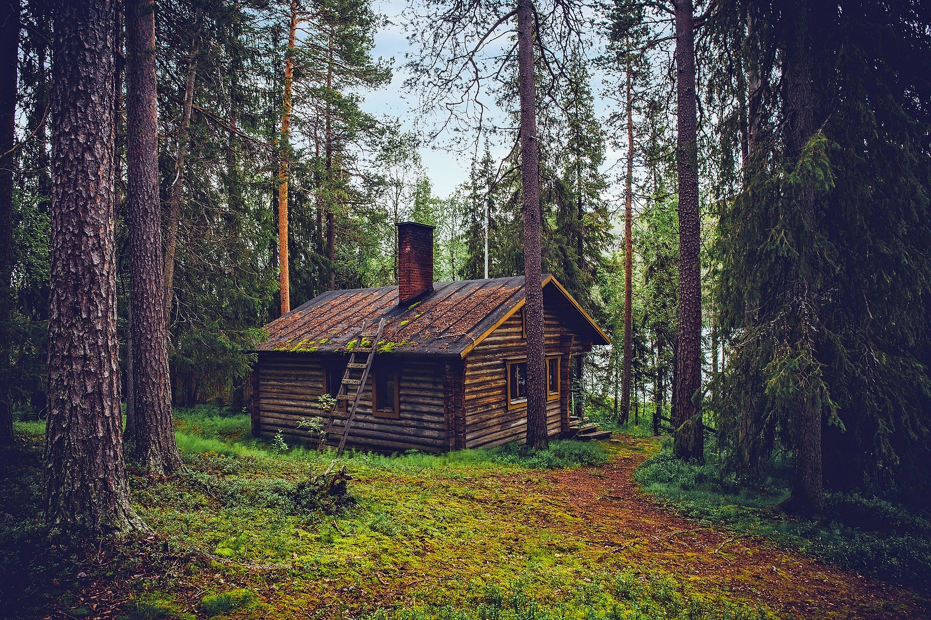 dům v lese
